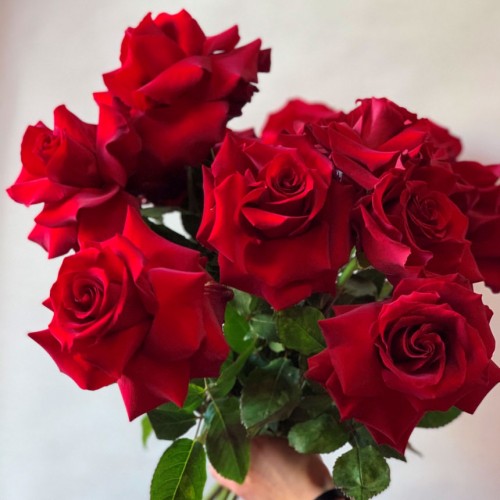 Букет из французских роз (красные) - фото