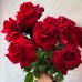 Французская роза (красная)