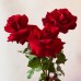 Букет из французских роз (красные)